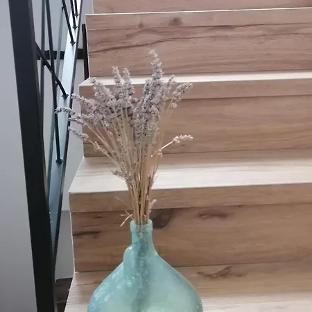 Tatil Evi Lukova Hisa- Luka's House *