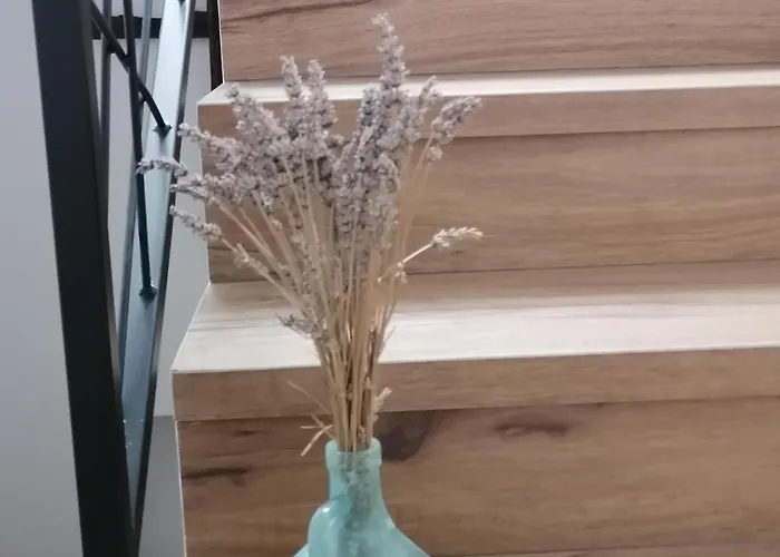 Сasa de vacaciones Lukova Hisa- Luka's House *